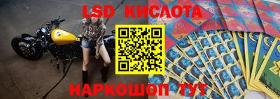 Альфа ПВП Краснодар