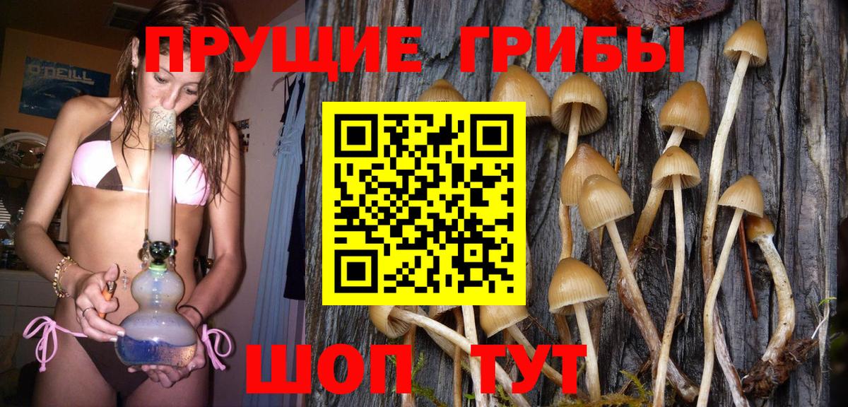 Галлюциногенные грибы Psilocybine cubensis  Вход с VPN  Зеленокумск 