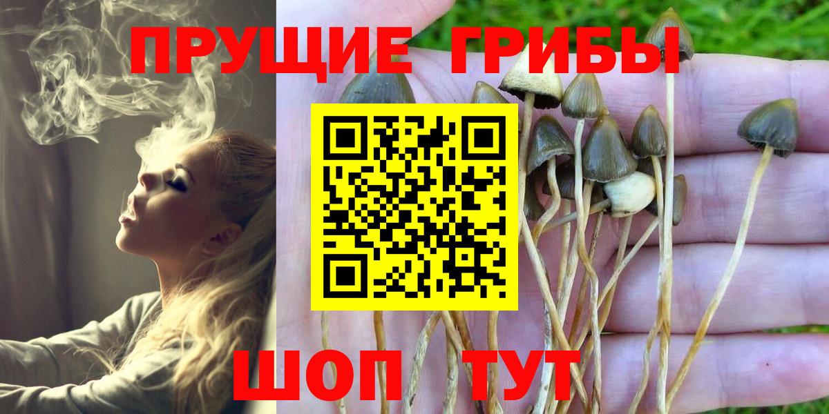 Псилоцибиновые грибы прущие грибы Зеленокумск
